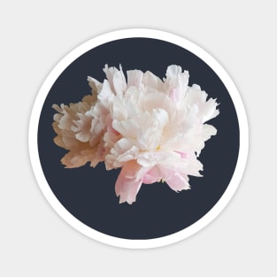 Pink Peony Flower Photo Cutout Magnet